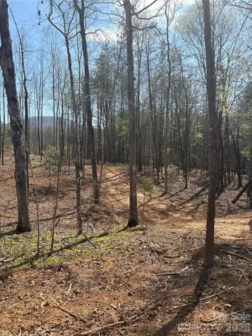 5317 Avenida De Oro Road Morganton NC 28655