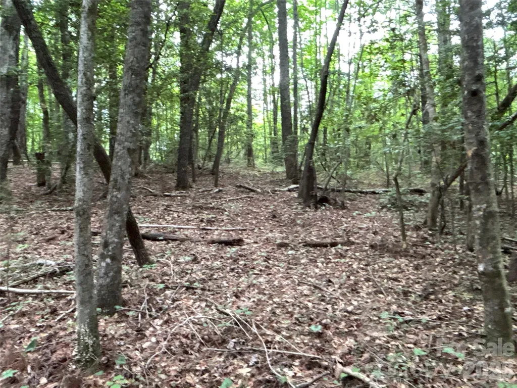00 J Thomas Road Morganton NC 28655