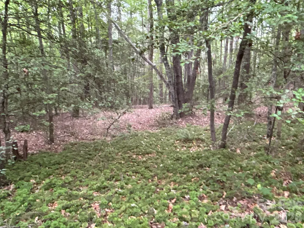 00 J Thomas Road Morganton NC 28655