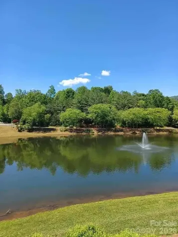 106 Cornell Circle Lake Lure NC 28746