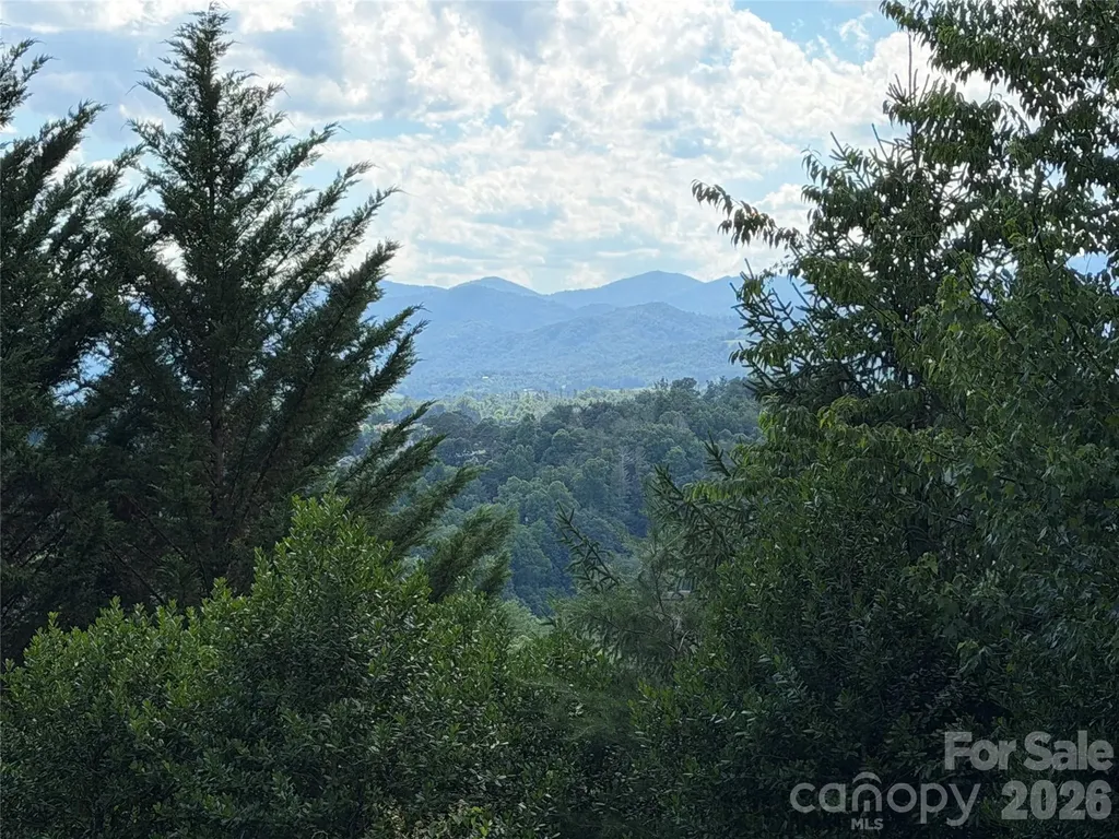 65 Buckle Ridge Weaverville NC 28787