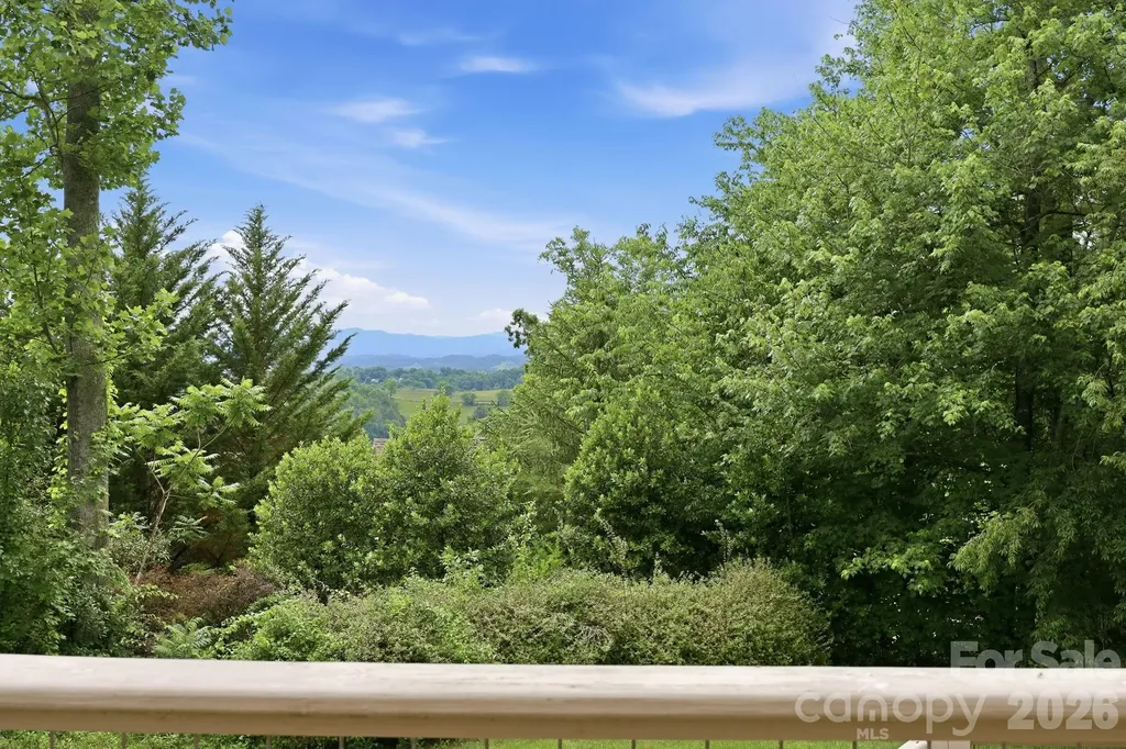 65 Buckle Ridge Weaverville NC 28787