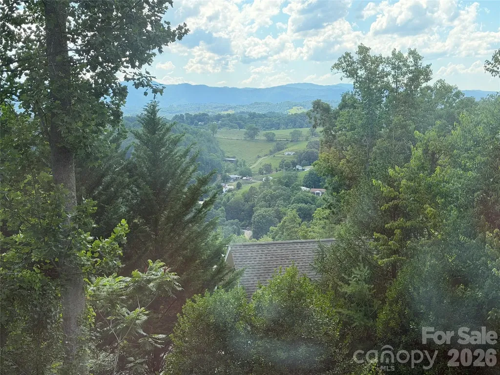 65 Buckle Ridge Weaverville NC 28787