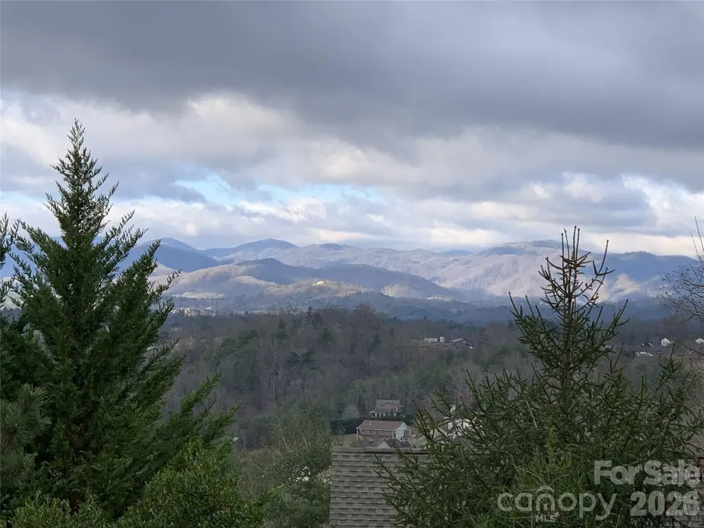 65 Buckle Ridge Weaverville NC 28787