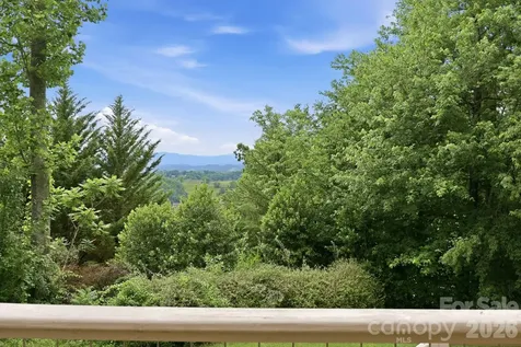 65 Buckle Ridge Weaverville NC 28787