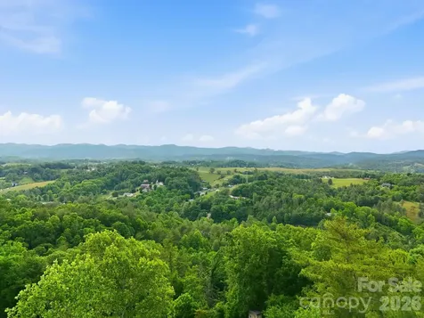65 Buckle Ridge Weaverville NC 28787