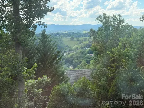 65 Buckle Ridge Weaverville NC 28787