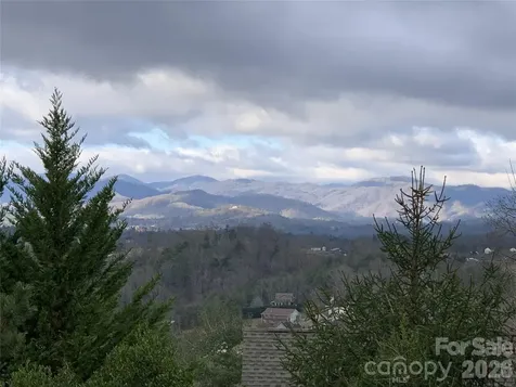 65 Buckle Ridge Weaverville NC 28787