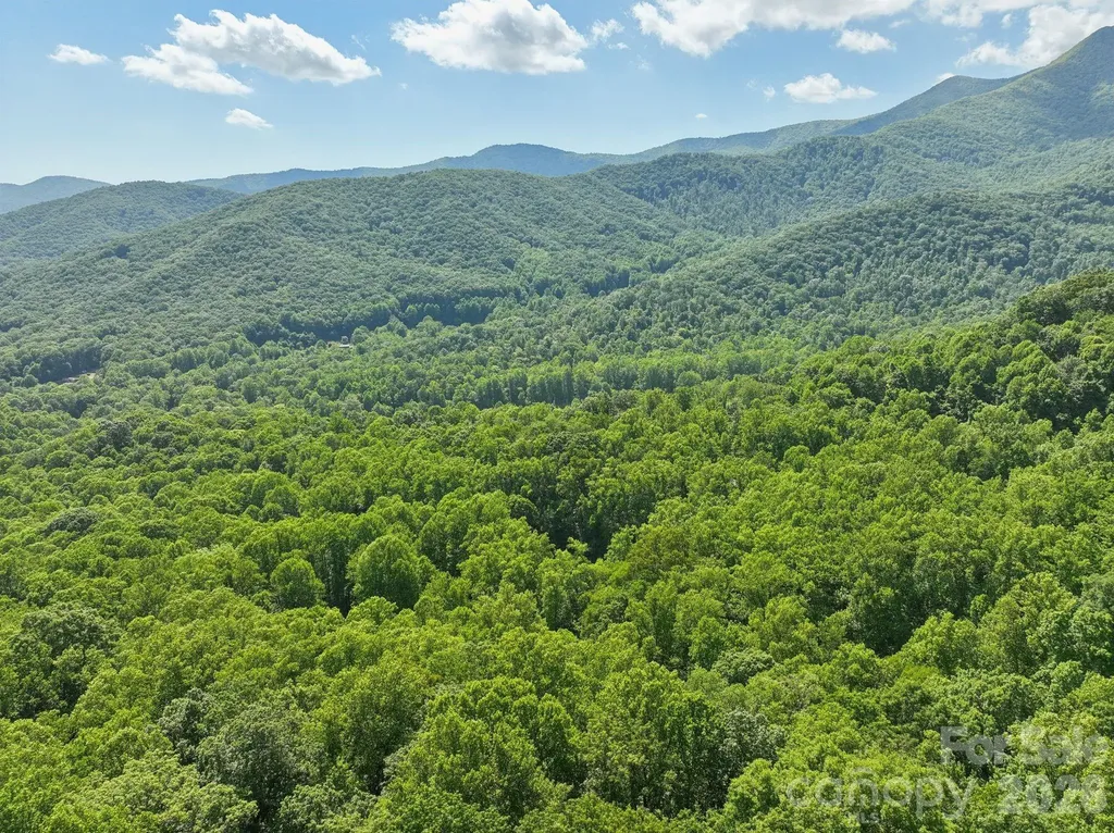 89 Apgar Road Candler NC 28715