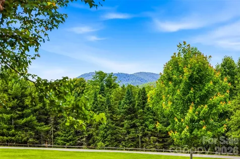 4862 Pinnacle Mountain Road Zirconia NC 28790