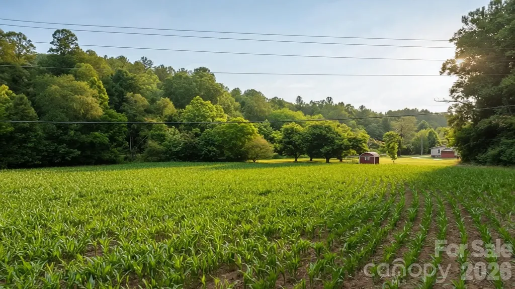 2970 Zacks Fork Road Lenoir NC 28645