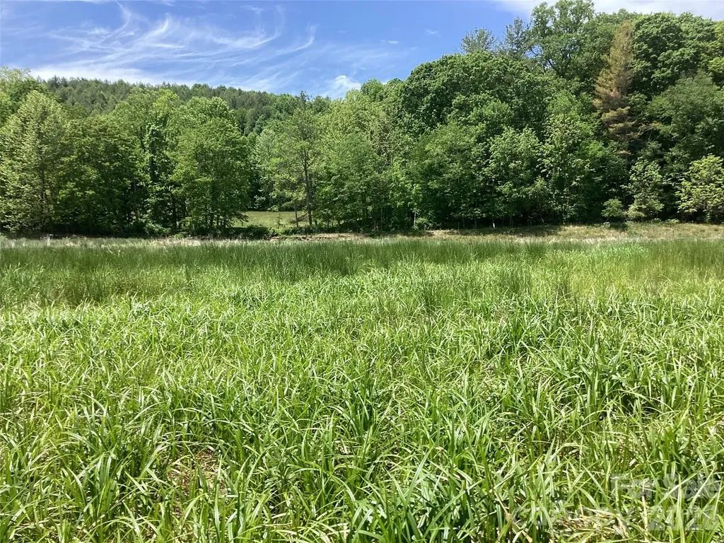 00 Bolens Creek Road Burnsville NC 28714