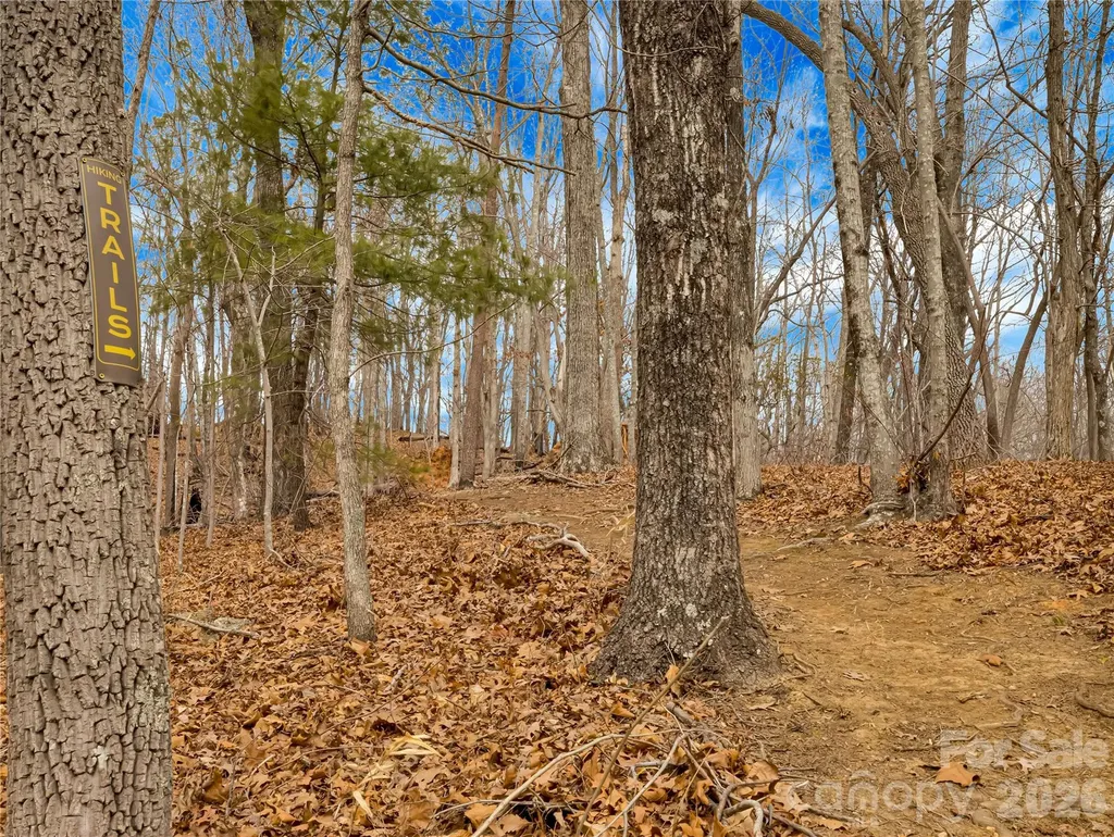 184 Deep Woods Lane Saluda NC 28773
