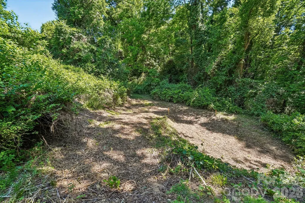 3 View Street Asheville NC 28803