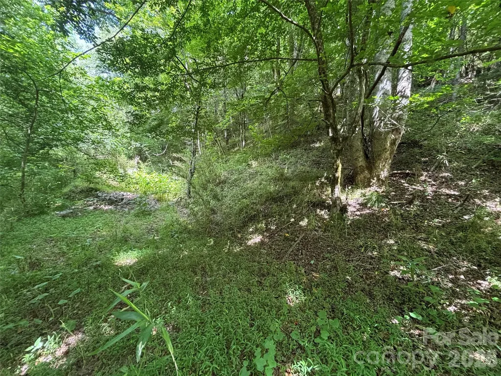 Tbd Heartwood Drive Collettsville NC 28611