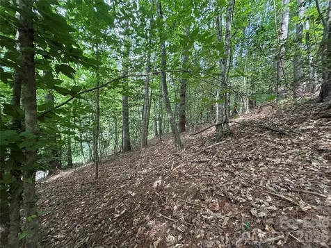 Tbd Heartwood Drive Collettsville NC 28611