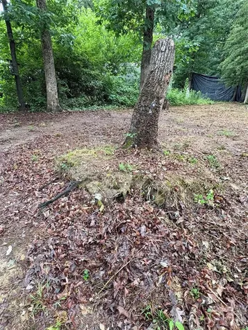 145 Paradise Drive Salisbury NC 28146