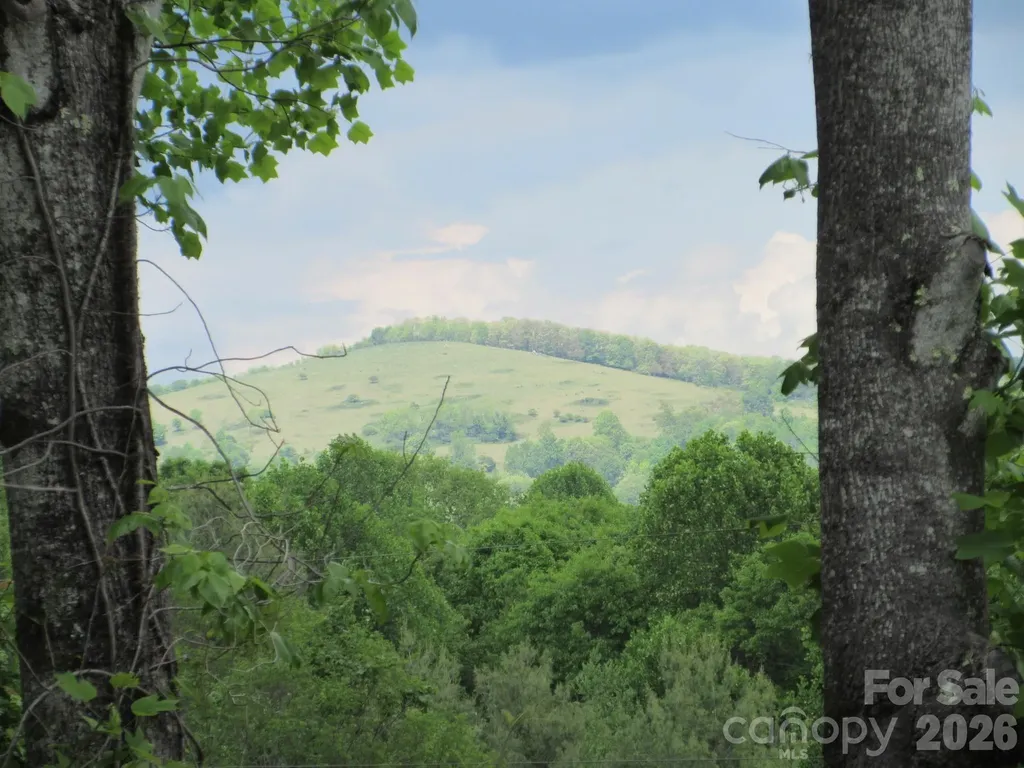 0 Rocky Top Trail Hot Springs NC 28743