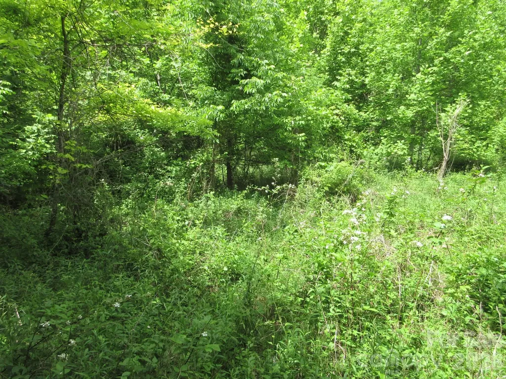 0 Rocky Top Trail Hot Springs NC 28743