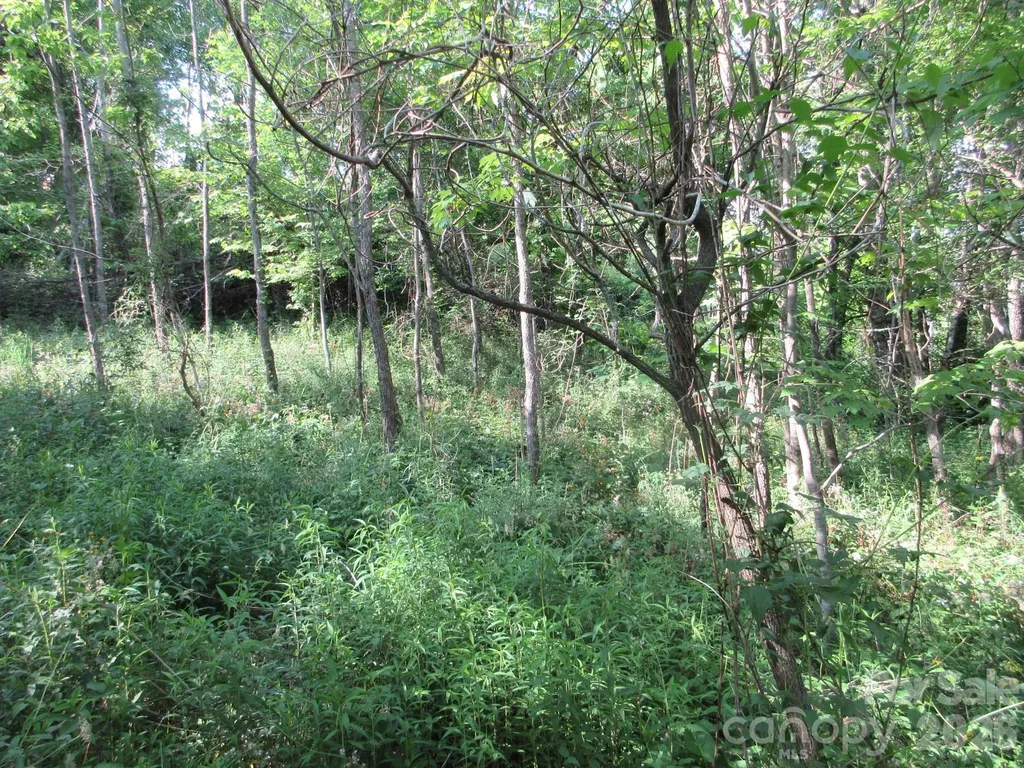 0 Rocky Top Trail Hot Springs NC 28743