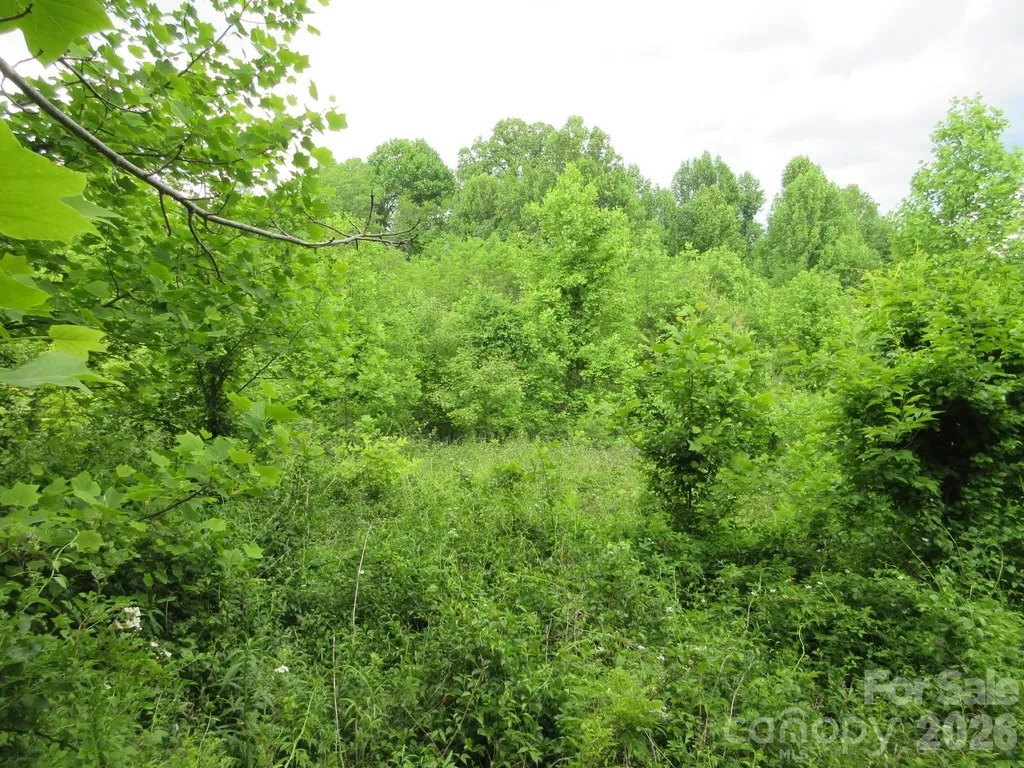 0 Rocky Top Trail Hot Springs NC 28743