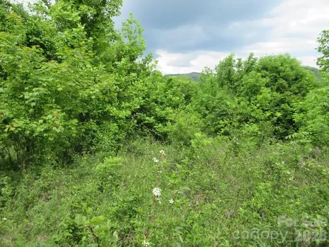 0 Rocky Top Trail Hot Springs NC 28743