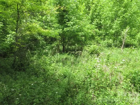 0 Rocky Top Trail Hot Springs NC 28743