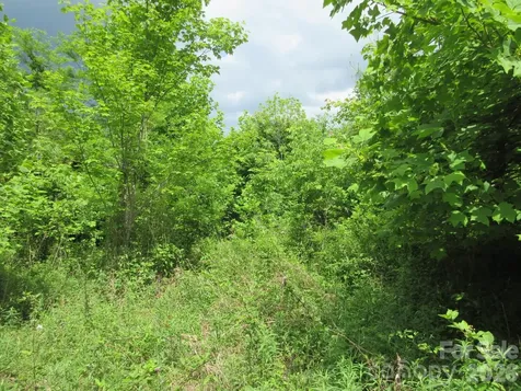0 Rocky Top Trail Hot Springs NC 28743