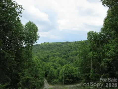 0 Rocky Top Trail Hot Springs NC 28743
