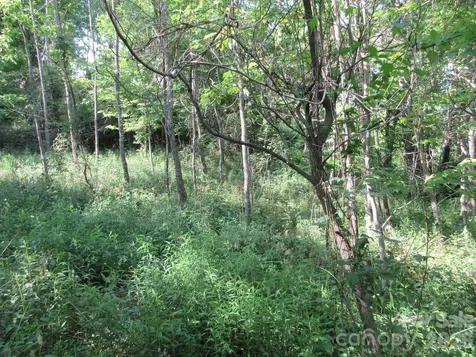 0 Rocky Top Trail Hot Springs NC 28743