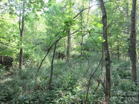 0 Rocky Top Trail Hot Springs NC 28743