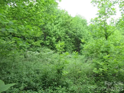0 Rocky Top Trail Hot Springs NC 28743