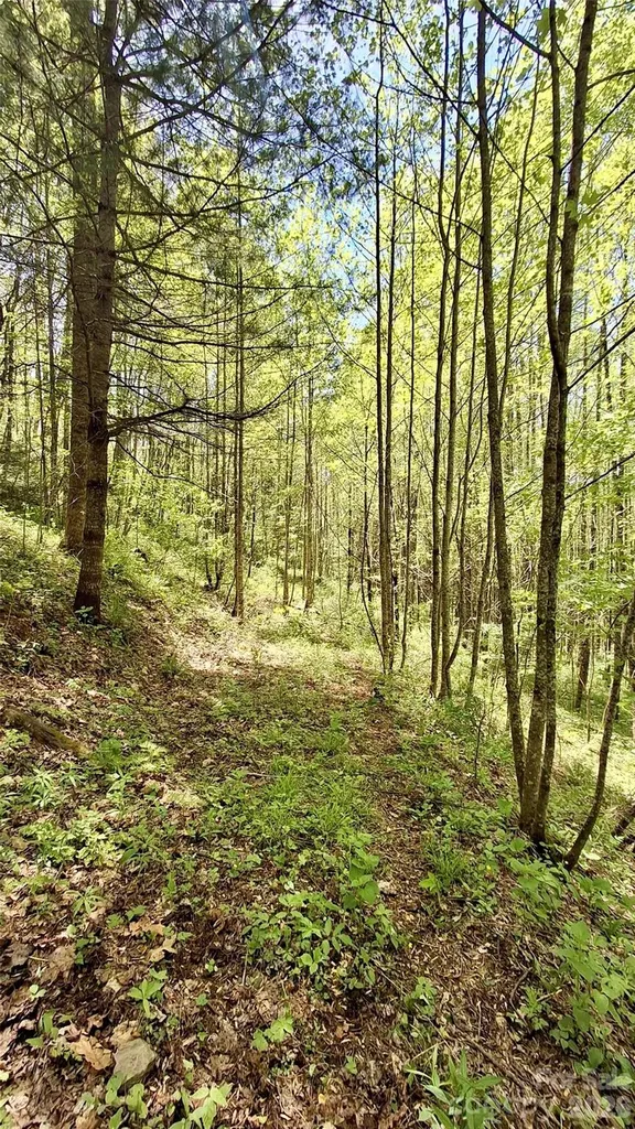 0000 Cold Mountain Road Highlands NC 28741