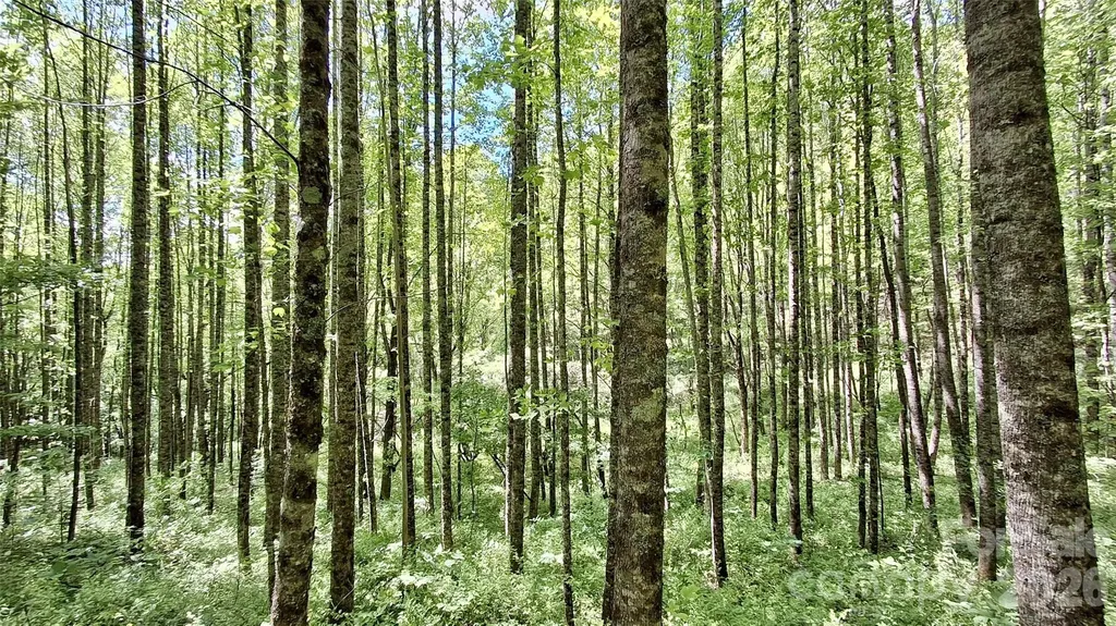0000 Cold Mountain Road Highlands NC 28741
