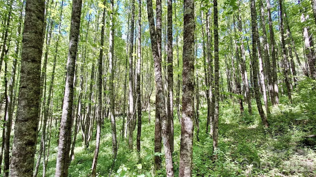 0000 Cold Mountain Road Highlands NC 28741