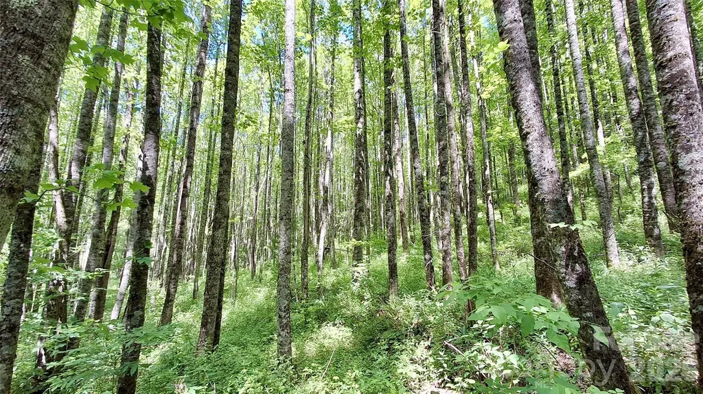 0000 Cold Mountain Road Highlands NC 28741