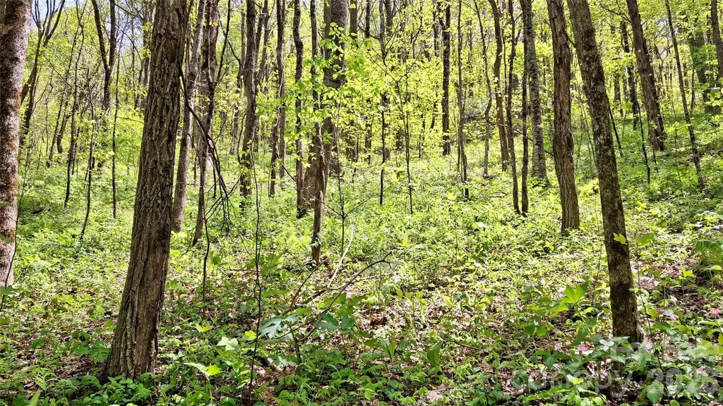 0000 Cold Mountain Road Highlands NC 28741