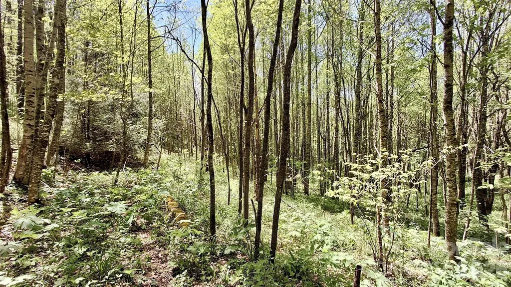 0000 Cold Mountain Road Highlands NC 28741