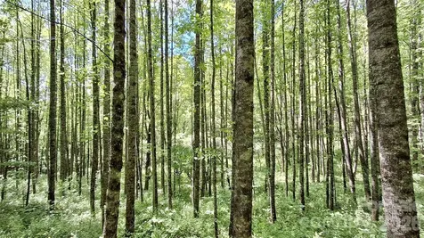 0000 Cold Mountain Road Highlands NC 28741