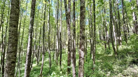 0000 Cold Mountain Road Highlands NC 28741