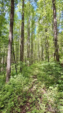 0000 Cold Mountain Road Highlands NC 28741