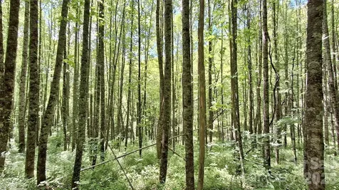 0000 Cold Mountain Road Highlands NC 28741