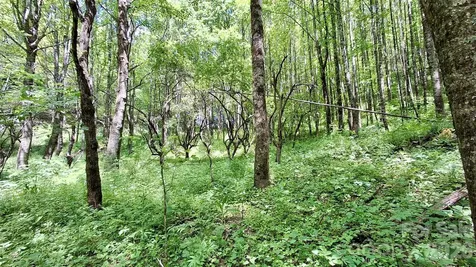 0000 Cold Mountain Road Highlands NC 28741