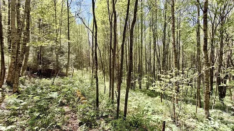 0000 Cold Mountain Road Highlands NC 28741