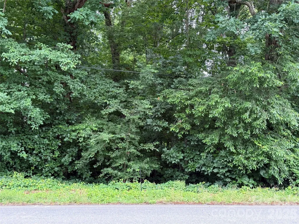 0 Buffalo Shoals Road Statesville NC 28677