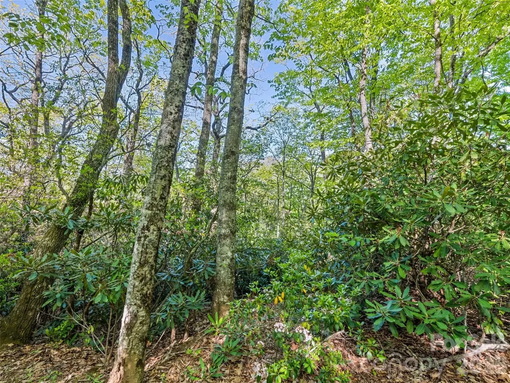 #19 Sleepy Hollow Lane Waynesville NC 28786