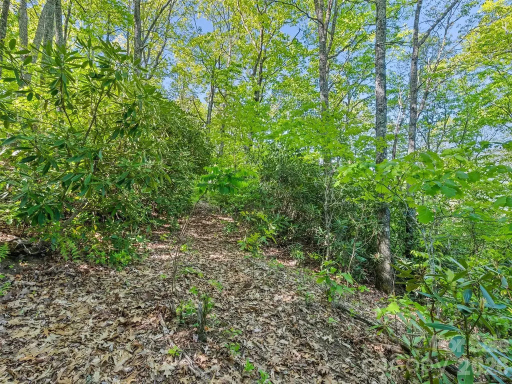 #19 Sleepy Hollow Lane Waynesville NC 28786