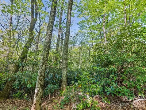 #19 Sleepy Hollow Lane Waynesville NC 28786