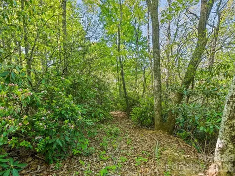 #19 Sleepy Hollow Lane Waynesville NC 28786