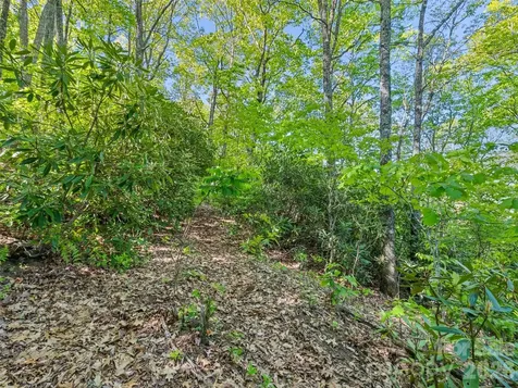 #19 Sleepy Hollow Lane Waynesville NC 28786